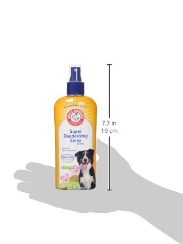 Arm & Hammer Tremendous Deodorizing Spray for Canine | Final Odor Eliminator for All Canine and Puppies | Refreshing Kiwi Blossom Perfume, 8 Ounces