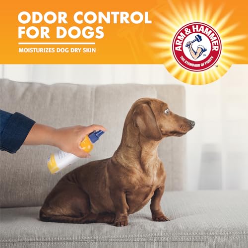 Arm & Hammer Tremendous Deodorizing Spray for Canine | Final Odor Eliminator for All Canine and Puppies | Refreshing Kiwi Blossom Perfume, 8 Ounces