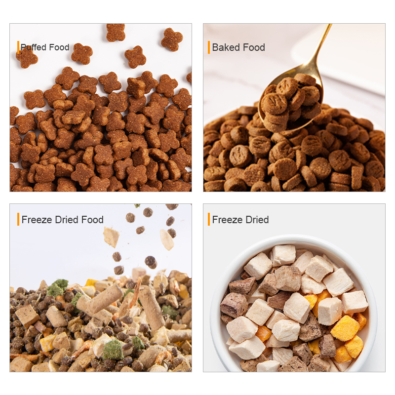 Bulk Wholesale Customized Flavored Dry Cat Meals Samples – 18% to 45% Protein Content material for Cats of All Ages