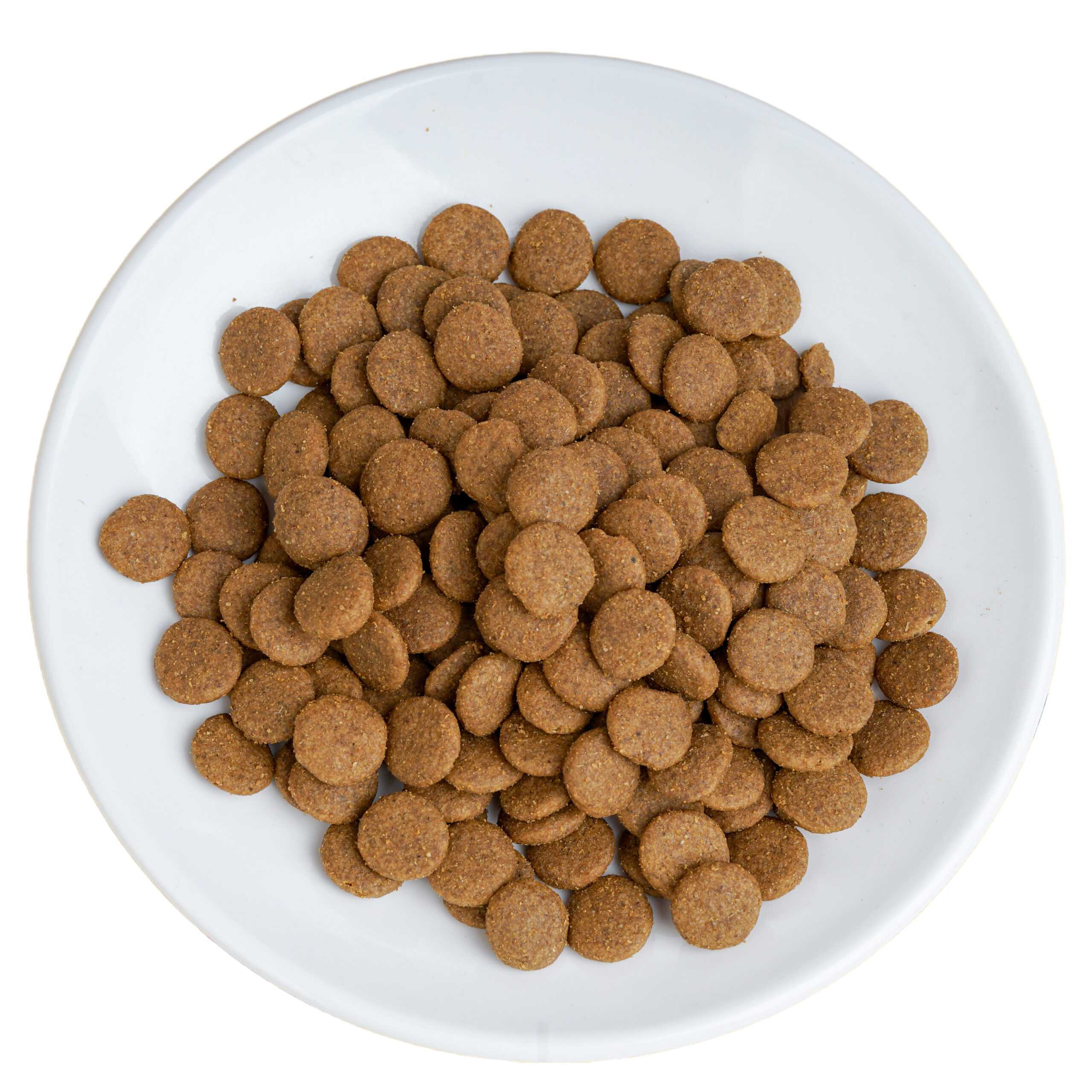 Low-Temperature Baked Dry Canine Meals and Wholesome OEM Cat Meals