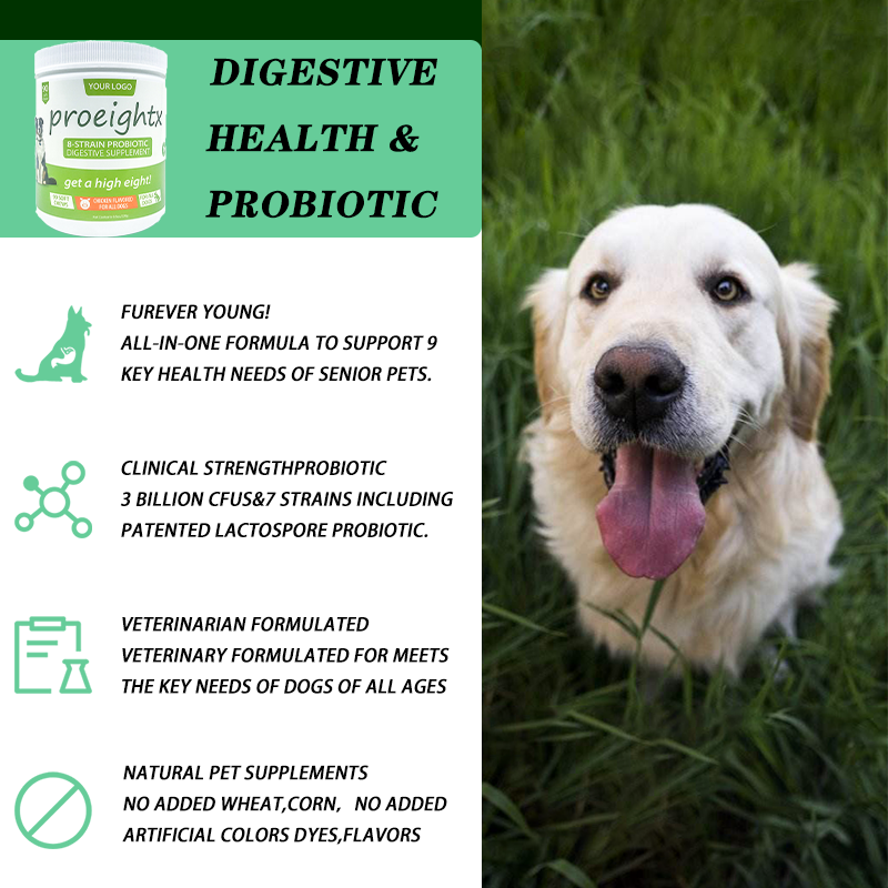 Wholesale Multi-Vitamin Dietary supplements for Canines and Cats - Probiotic Intestine Well being Mix OEM Provider for Pet Dietary supplements